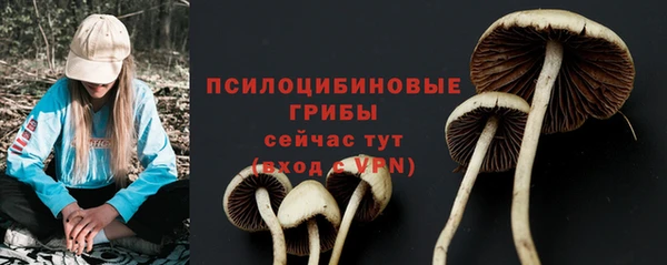 мдпв Лихославль