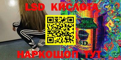 прущие грибы Донской