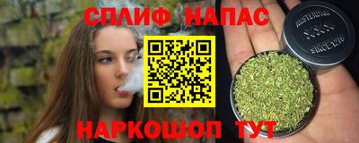 прущие грибы Донской