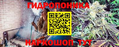 прущие грибы Донской