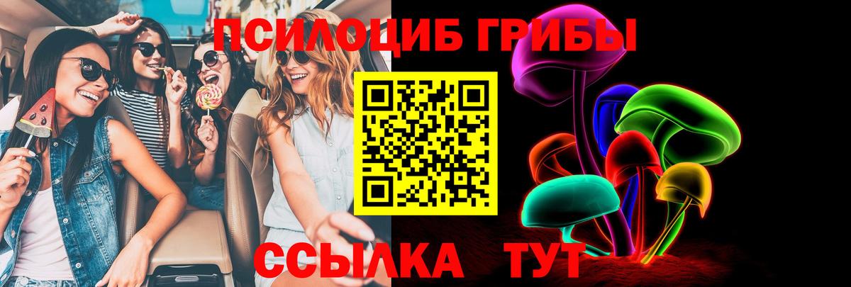 продажа наркотиков  Вход с VPN  Шахты  Галлюциногенные грибы Cubensis 